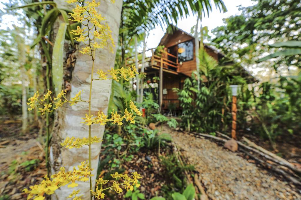 Kapievi Ecovillage Puerto Maldonado Exteriör bild